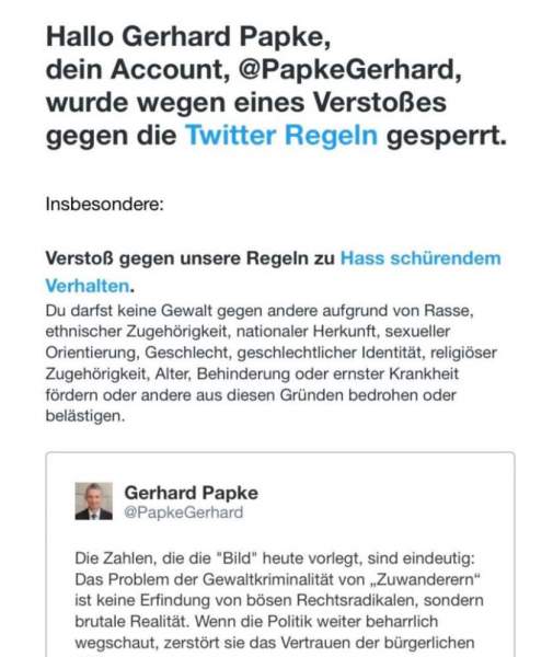 Twitter bans senior German politician for writing about increasing migrant violence – Allah's Willing Executioners