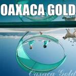 Oaxaca Gold Profile Picture