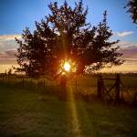 Michael Kuklok Profile Picture