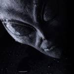 Togar Harras profile picture