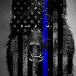 Jamie Kirkpatrick Profile Picture