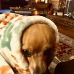 Kimberly Powell Profile Picture