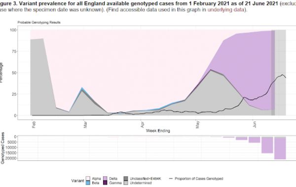 Analiza danych z Wielkiej Brytanii, manipulacje CDC oraz spektakularne działanie iwermektyny