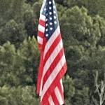 Kim Spencer Profile Picture