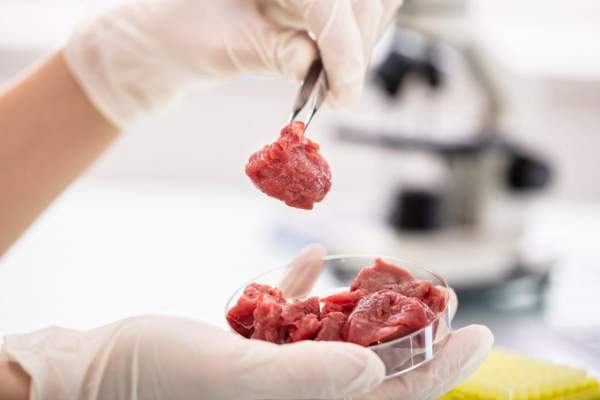 Lab Grown Meat To Hit U.S. in 2022, Backed By FDA & USDA, Along with “Smarter Food Safety Blueprint” & Traceability All Underway - The Washington Standard