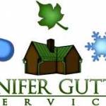 Conifer Gutter Service Profile Picture