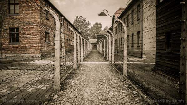 After throwing them in covid quarantine camps, German government also STRIPS prisoners of compensation payments to bankrupt them – NaturalNews.com
