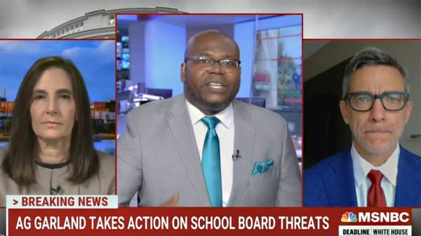 MSNBC panel claims public school protestors influenced by a 'White supremacist ideology' | Fox News