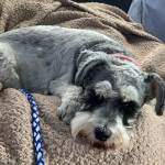 Lillian K Coleman Profile Picture