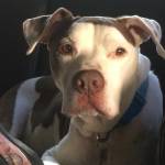 Lulu Reid Profile Picture