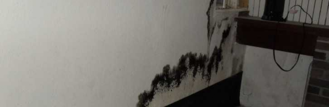 Oahu Mold Testing  Removal Cover Image