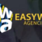 Easy Way Agencies Profile Picture