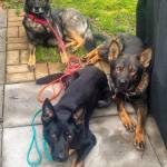 TomThomas Profile Picture