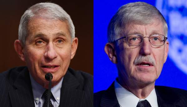 BREAKING: NIH Today Corrects False Statements by Directors Collins and Fauci - the NIH Did Fund Gain-of-Function Research in Wuhan - Fauci Lied Under Oath