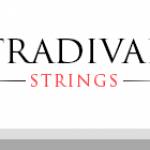 Stradivari Strings Profile Picture