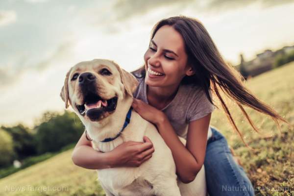Your dog needs some face time with the pack: Study on canine health reveals playtime helps reduce long-term stress levels – NaturalNews.com