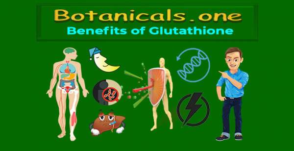 #1 Best Glutathione Supplement - DNA & Immunity Protector