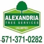Alexandria Tree Services Unlimited Profile Picture