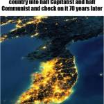 terigodmother Profile Picture