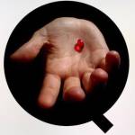 Operaion Q profile picture