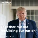 mr robin Profile Picture