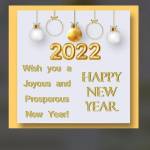 Hope Anh Profile Picture