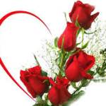 Harvey Bruce Profile Picture