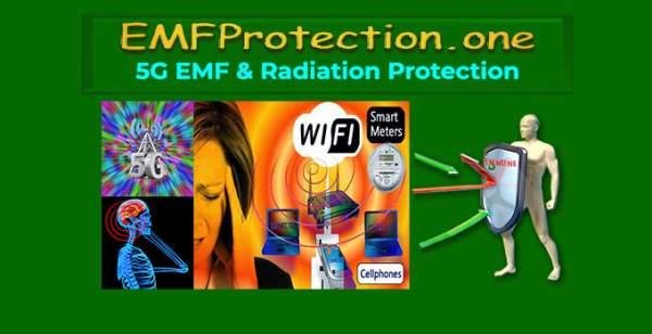 EMF Protection - EMF Protection