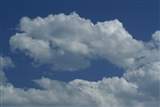 Looking Up at the Big Blue Sky | My TEA CUPP Prayers