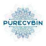 purecybin Profile Picture
