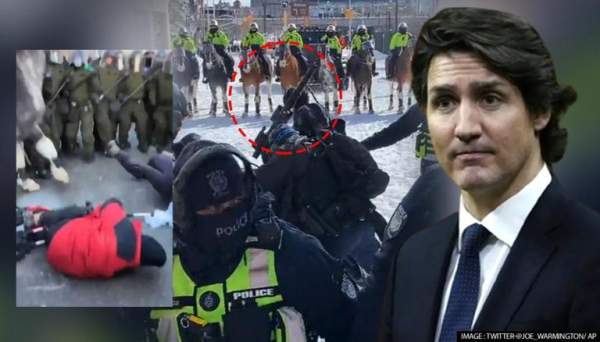Canada police trample down civilians with horses in violent crackdown on convoy protests