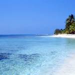 Tony Abate Profile Picture