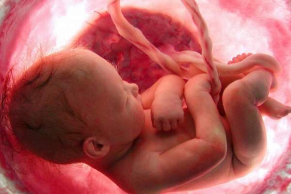 Michigan House Passes Bill to Ban Research Using Body Parts From Aborted Babies - LifeNews.com