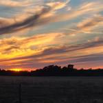 ChrystalSnyder1776 Profile Picture