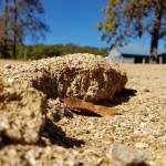 MelRabe Profile Picture