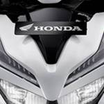 Jasmine R. Lusk Profile Picture