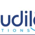 Cloudilax Solutions Profile Picture