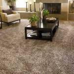 Steam Point Carpet Cleaning Profile Picture