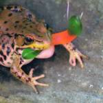 Curt M Profile Picture