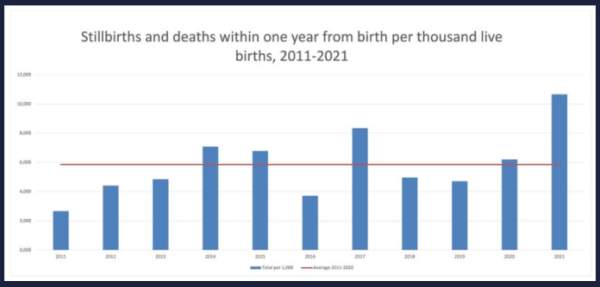 Island: 30% mehr Tote im ersten Quartal 2022 und beinahe Verdoppelung der Totgeburten und Säuglingstode in 2021 nach „Booster-Impfungen“ – Jihad Watch Deutschland
