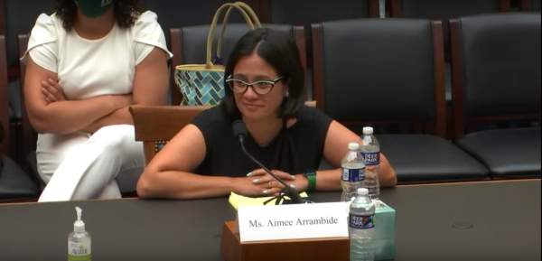 Dem witness tells House committee men can get pregnant, have abortions | Fox News