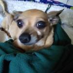 Jane Profile Picture