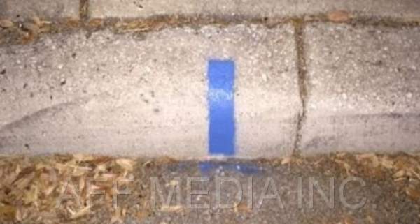 Have You Seen These Blue Strips On Curbs? Here’s The INCREDIBLE Reason Behind Them