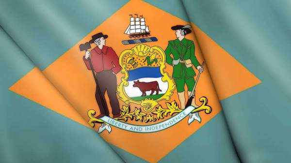 Delaware: General Assembly Passes Bills for Age Discrimination & Lawsuits Against Firearm Industry - Guns in the News