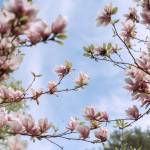 loretta chris Profile Picture