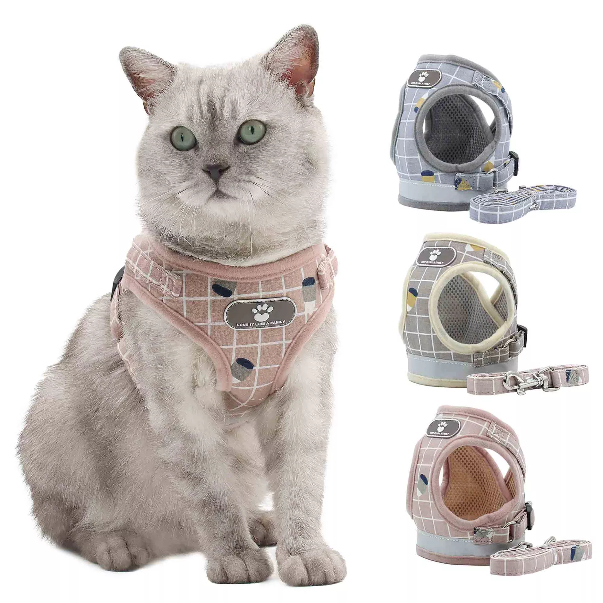 What is Personalized CAT COLLAR？