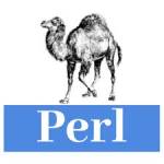 PERL Profile Picture