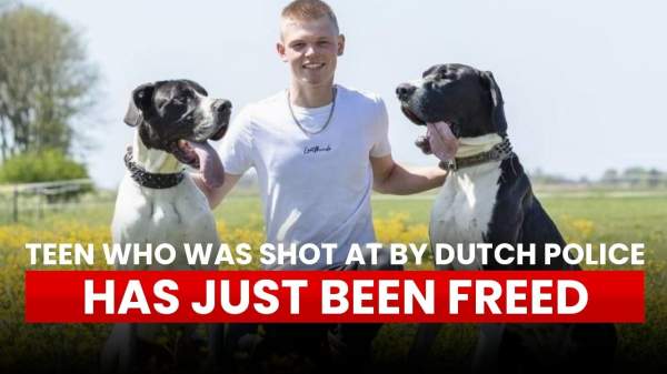 Dutch Farmer Protest Update: 16-Year-Old Jouke Freed; Document Reveals Government Plans to Confiscate Farms for Asylum Seekers