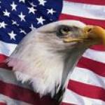 WeThe Pundit Profile Picture