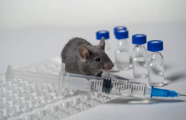 Newly-Obtained Moderna Documents Show mRNA COVID Vaccines Cause 'Skeletal Malformation' - Here's What Happened To The Offspring Of Lab Rats Who Were Jabbed